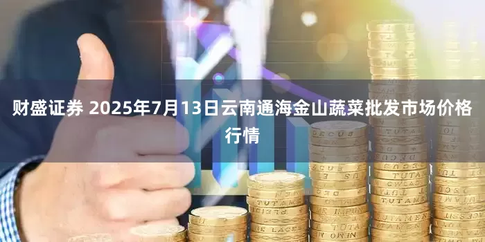 财盛证券 2025年7月13日云南通海金山蔬菜批发市场价格行情