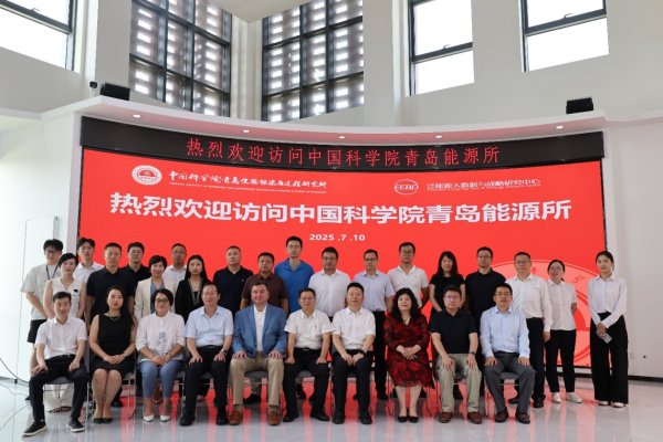 恒信策略 中国原创 GIS-LCA 技术引国际关注，获国际国内组织代表盛赞！