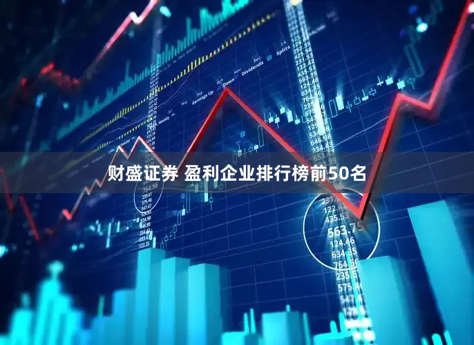 财盛证券 盈利企业排行榜前50名