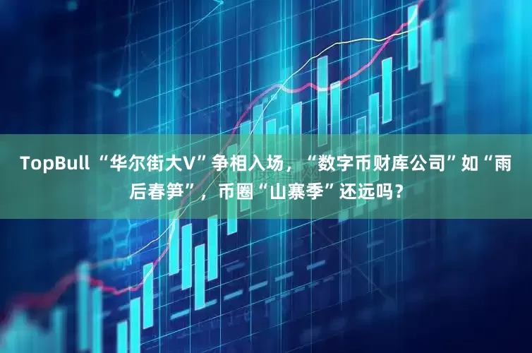 TopBull “华尔街大V”争相入场，“数字币财库公司”如“雨后春笋”，币圈“山寨季”还远吗？