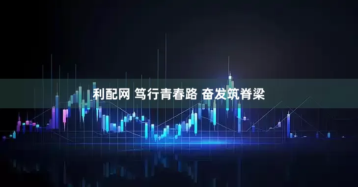 利配网 笃行青春路 奋发筑脊梁