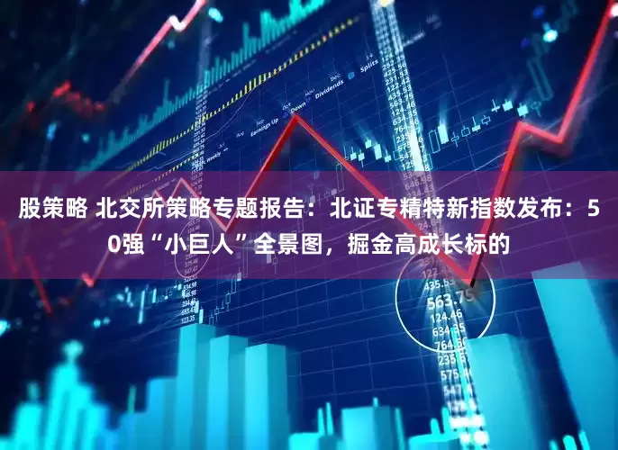 股策略 北交所策略专题报告：北证专精特新指数发布：50强“小巨人”全景图，掘金高成长标的